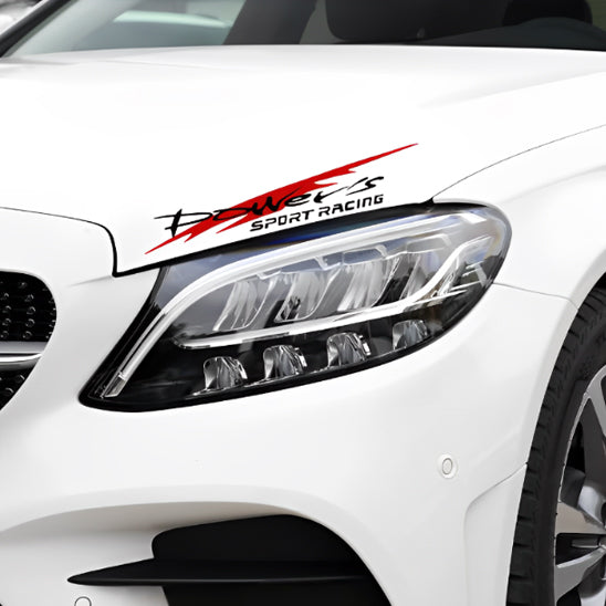 autocollant-voiture-car-racing-sticker