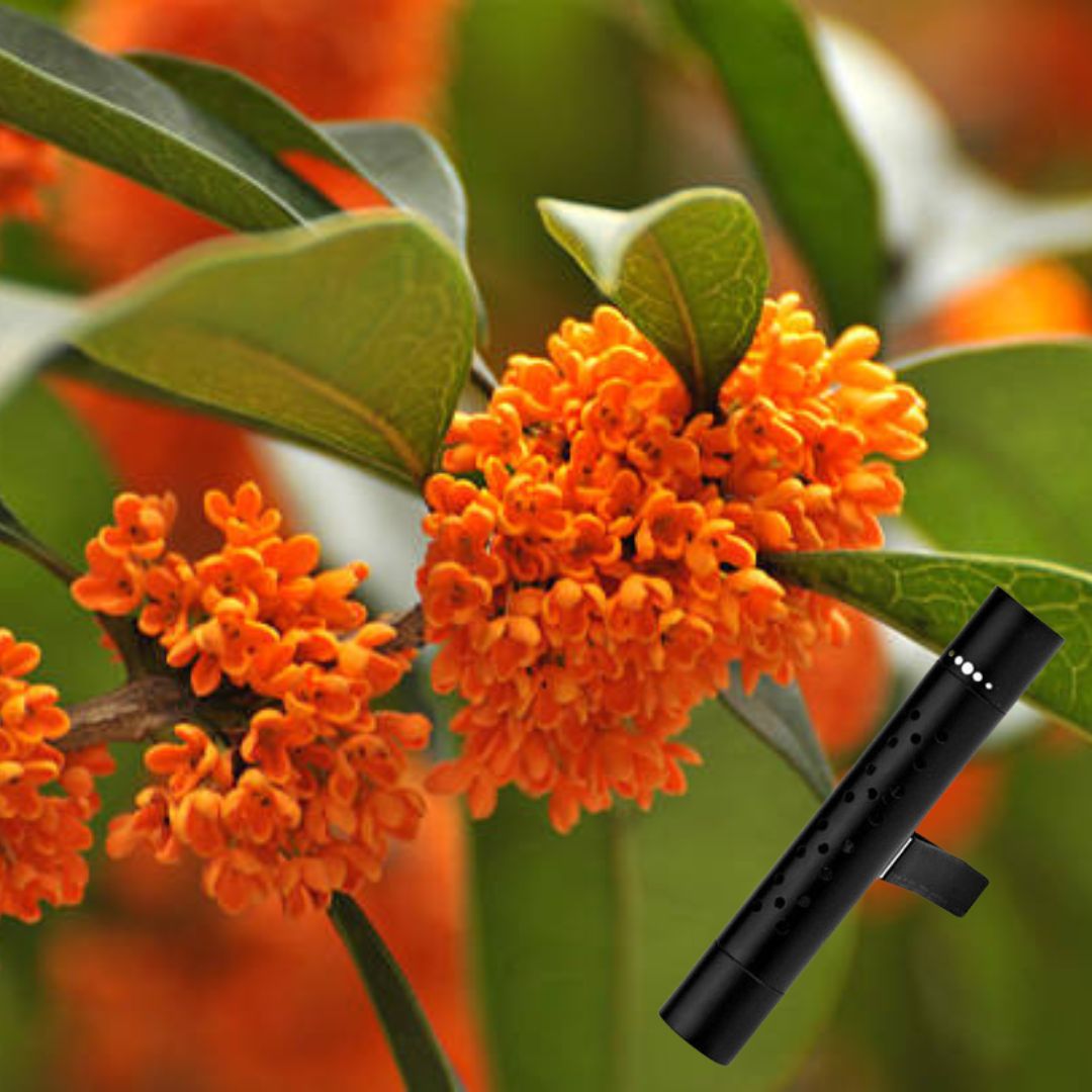 desodorisant-voiture-stick-car-osmanthus