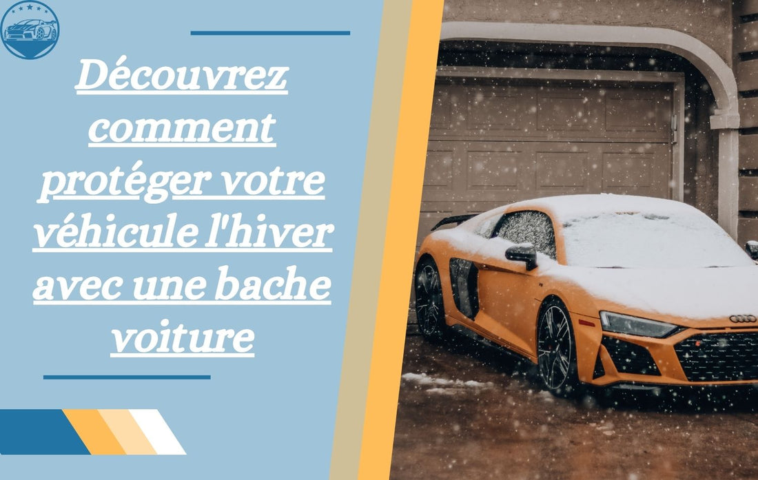 bache-voiture-pour-hiver