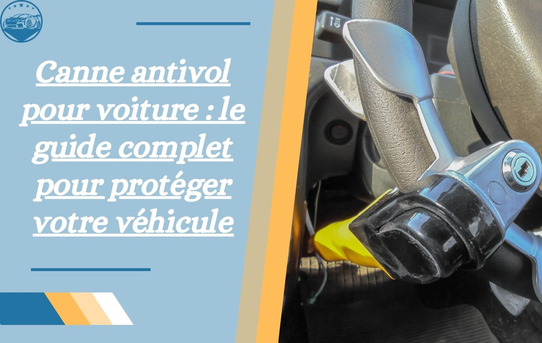 canne-antivol-pour-voiture