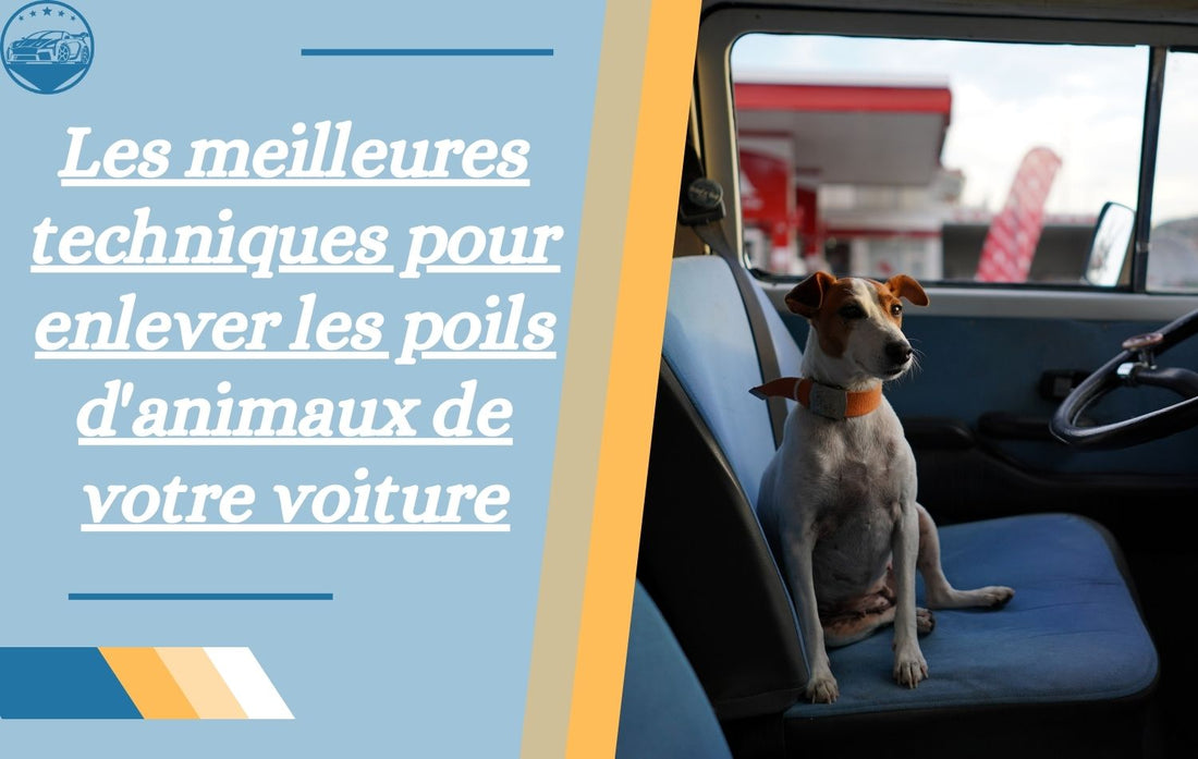 les-meilleures-techniques-pour-enlever-les-poils-d-animaux-de-votre-voiture